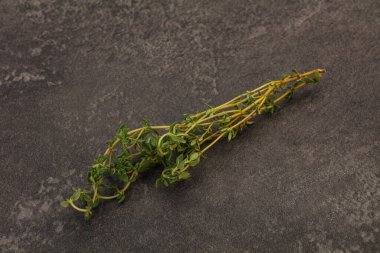 Aroma yiyeceği Taze yeşil kekik dalı