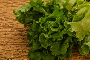 Vejetaryen mutfağı - Yeşil salata yığını yaprakları