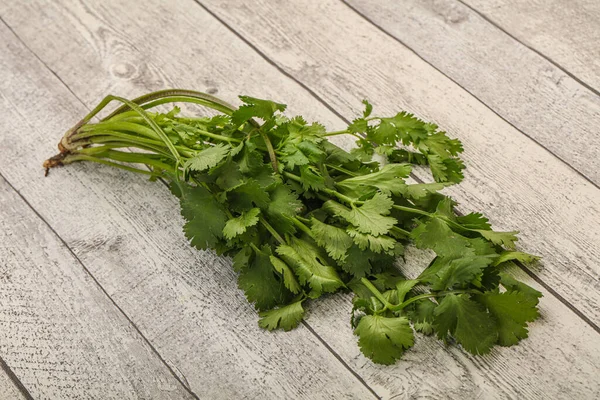 Aroma Grüner Koriander Oder Koriander — Stockfoto