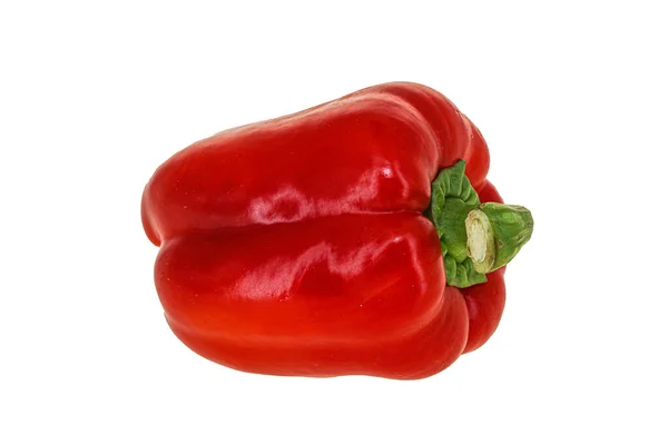 Red Bell Pepper Zralá Šťavnatá Čerstvá — Stock fotografie
