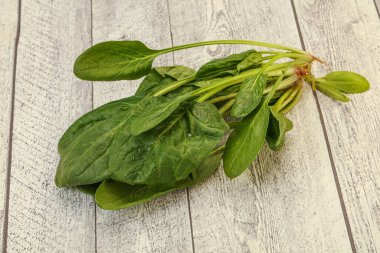 Vejetaryen mutfağı - Taze yeşil ıspanak yaprakları yığını