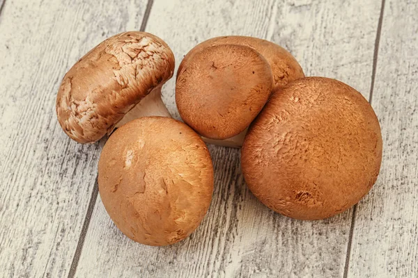 Tasty Raw Brown Champignons Background — Stock Photo, Image