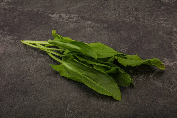 Aroma Gramada Plante Proaspete Verzi Sorrel — Fotografie, imagine de stoc