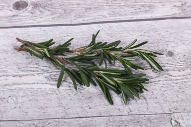 Taze yeşil Rosaemary şube - yemek pişirmek için baharat