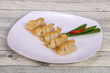 Geleneksel Japon mutfağı Gyoza köfteleri et ve deniz ürünleri.