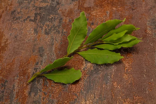 Zielone Liście Laurowe Gałęzi Gotowania — Zdjęcie stockowe