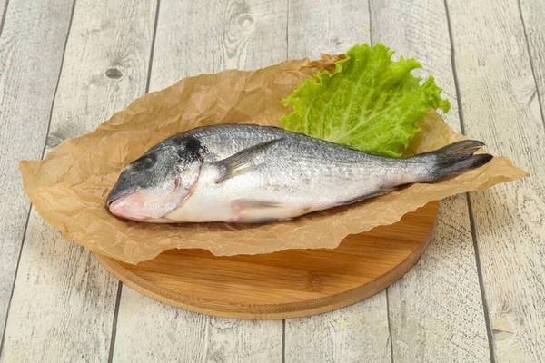 Peixe Dorada Cru Pronto Para Cozinhar — Fotografia de Stock