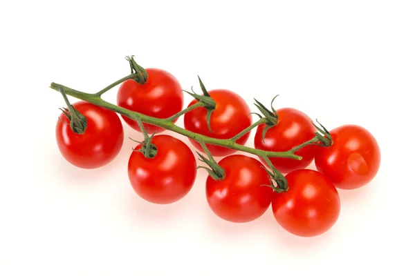 Modne Velsmagende Tomater Grenen - Stock-foto