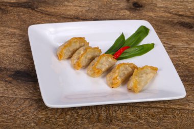 Geleneksel Japon mutfağı Gyoza köfteleri et ve deniz ürünleri.