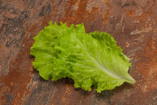 Dietní Vegetariánská Kuchyně Listy Zeleného Salátu — Stock fotografie