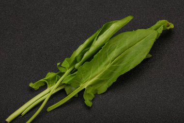 Aroma Taze yeşil kuş sürüsü