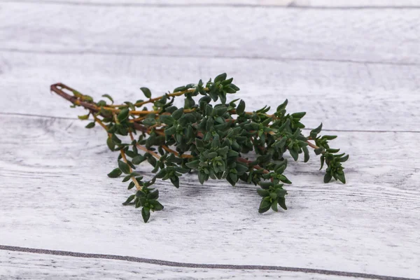 Groene Tijm Tak Specerijen Koken — Stockfoto