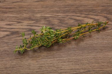 Aroma yiyeceği Taze yeşil kekik dalı