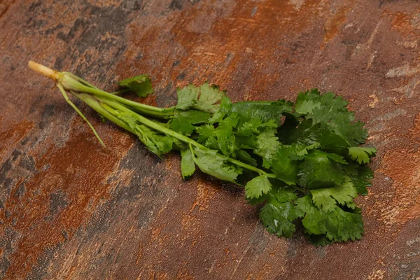 Fresco Maduro Hojas Cilantro Verde Especia — Foto de Stock