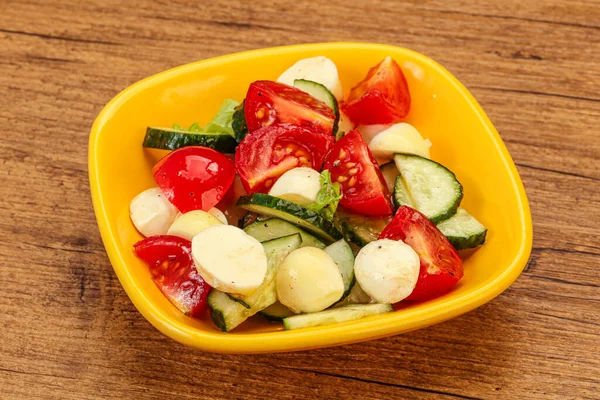 沙律与蔬菜和莫扎拉奶酪 — 图库照片