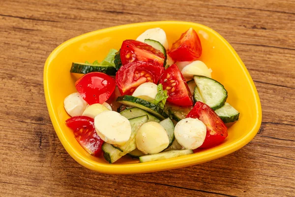 Ensalada Con Verduras Queso Mozzarlla — Foto de Stock