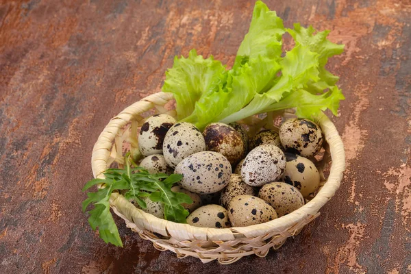 Перепелиные Яйца Корзине Травами — стоковое фото
