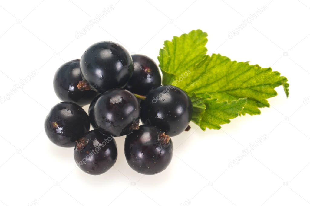 Fresh ripe sweet black currant berries