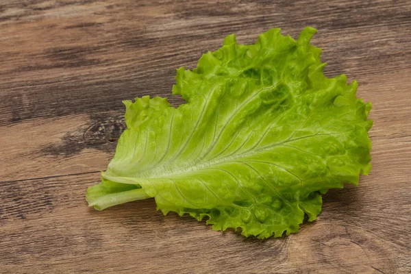 Cuisine Végétalienne Diététique Feuilles Salade Verte — Photo