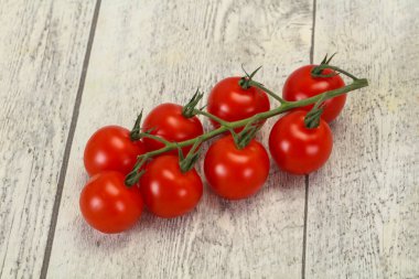 Dalın üzerinde olgun, lezzetli domatesler