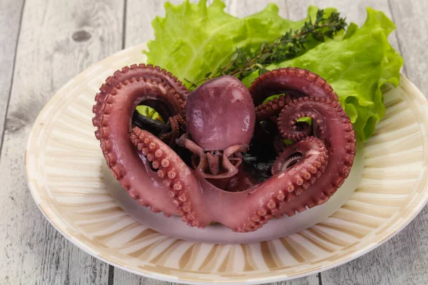 Gekookte Octopus Met Kruiden Plaat — Stockfoto