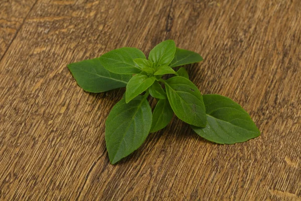 Friss Zöld Bazsalikom Levelek Főzés Gyógynövény — Stock Fotó