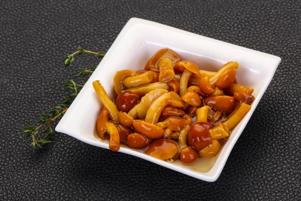 Pickled honey agaric in the bowl served thyme — Stock Image Pickled Honey Agaric Bowl Served Thyme Royalty Free Stock Photos