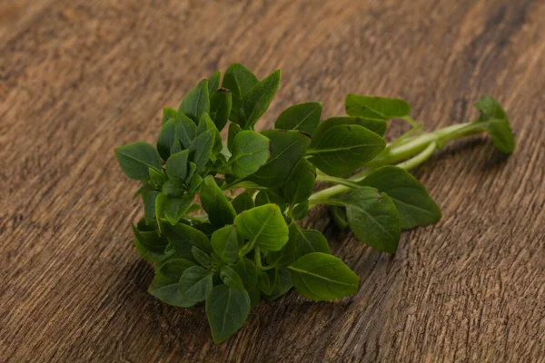 Zielone Liście Bazylii Aromatyczne Zioła — Zdjęcie stockowe