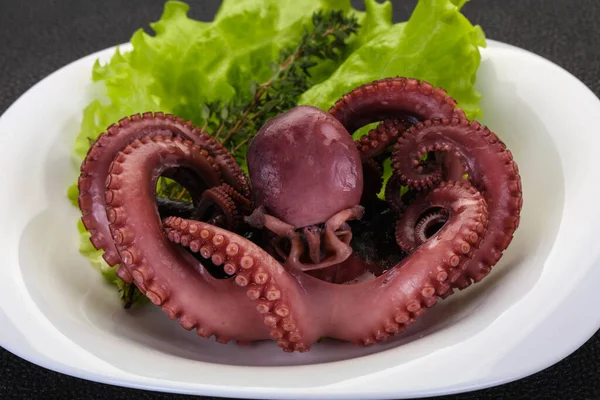 Gekochter Oktopus Mit Kräutern Teller — Stockfoto