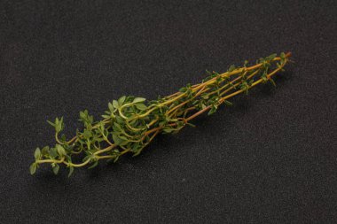 Aroma yiyeceği Taze yeşil kekik dalı