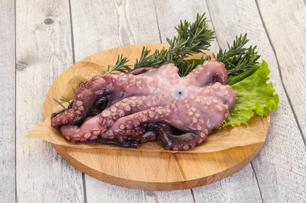 Rauwe Octopus Klaar Koken Met Rozemarijn — Stockfoto