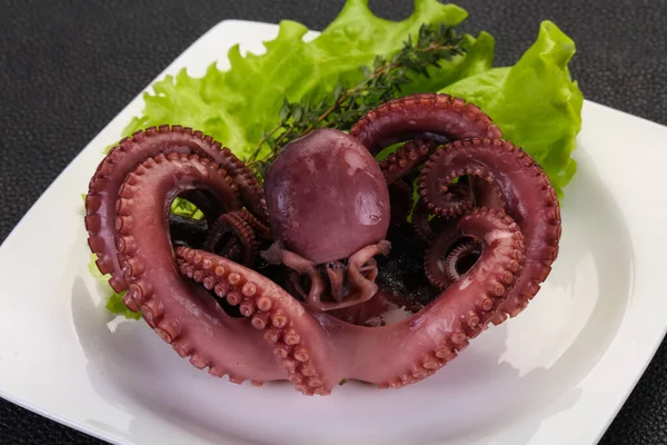 Pulpo Hervido Con Hierbas Plato —  Fotos de Stock