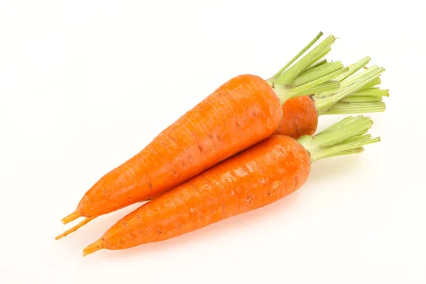Three Young Fresh Ripe Carrots — Stock Photo, Image