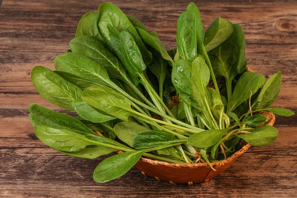 Vegan Cuisine Fresh Green Spinach Leaves Heap — Stock Photo, Image