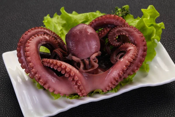 Gekookte Octopus Met Kruiden Plaat — Stockfoto