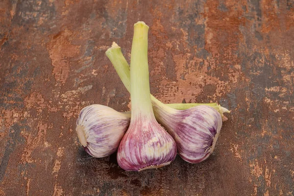 Ung Mogen Vitlökshög — Stockfoto