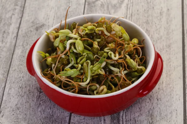 Germoglio Fagioli Purè Nella Ciotola — Foto Stock