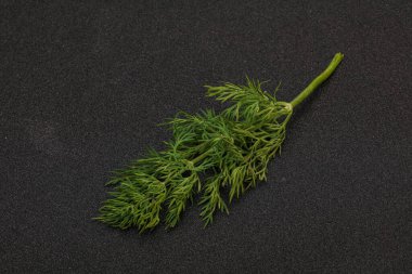 Aroma çeşnisi - Arkaplanda Yeşil Dill dalı