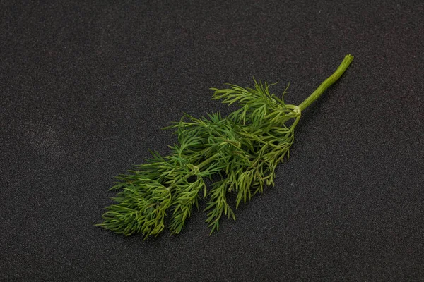 Aroma Kruiden Green Dill Tak Achtergrond — Stockfoto