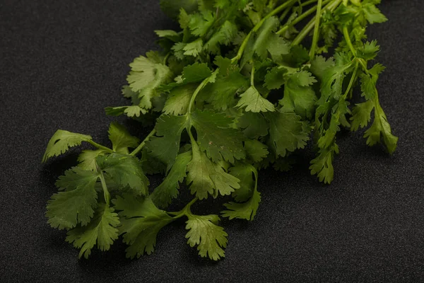 Aroma Cilantro Verde Cilantro Hojas Montón — Foto de Stock