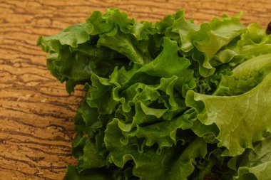 Vejetaryen mutfağı - Yeşil salata yığını yaprakları