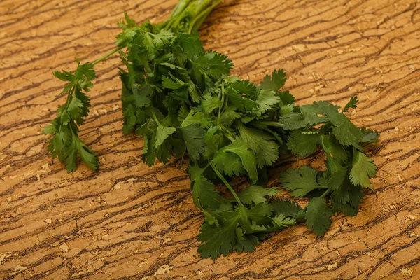 Aroma Green Coriander Cilanto Leaves Heap — Stock Photo, Image