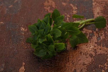 Yeşil fesleğen yaprakları - aromalı bitkiler