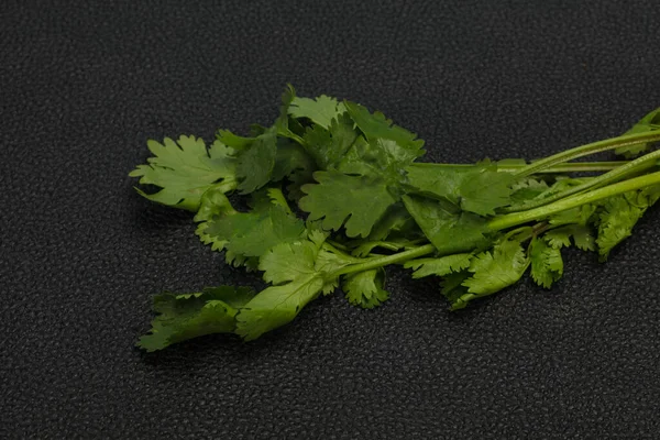 Fresh Ripe Green Cilantro Leaves Spice — Stock Photo, Image