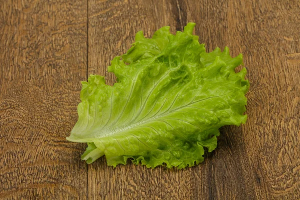 Cozinha Vegetariana Dietética Folhas Salada Verde — Fotografia de Stock