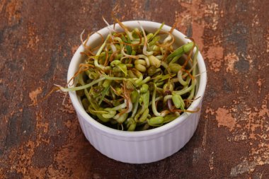 Kasede fasulye filizi var.