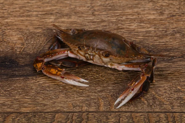 Natürliche Rohe Krabbe Bereit Zum Kochen — Stockfoto