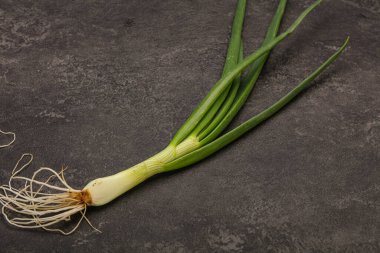 Taze taze taze soğan çeşnisi