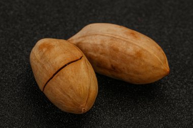 Ripe tasty Two whole pecan nuts