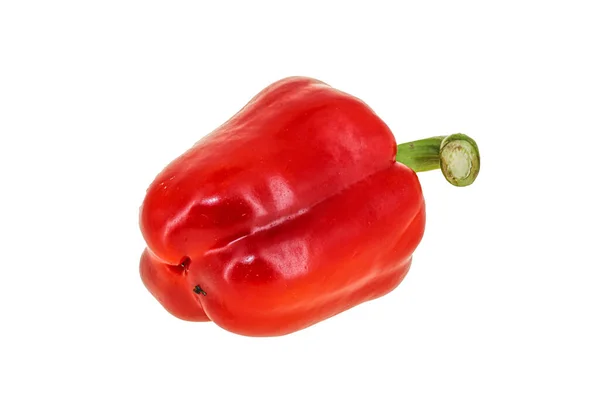 Rode Paprika Rijp Sappig Vers — Stockfoto